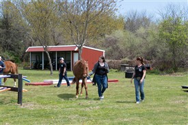 LR-WRF 04282026 Retreat-4348